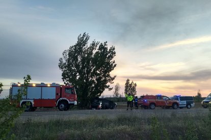 El accidente ha tenido lugar a las 20.30 horas. DL