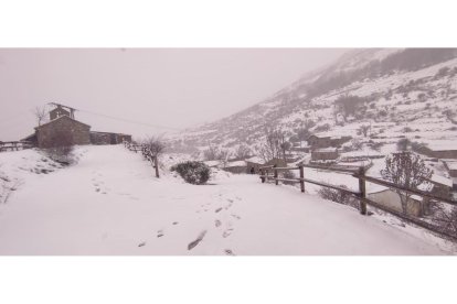León, cubierto por la nieve. DL