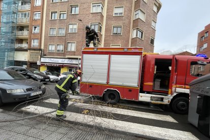 Los Bomberos de León han tenido que intervenir en varios puntos de la caiudad por las consecuencias del temporal de frío, viento y nieve. LUIS CANAL