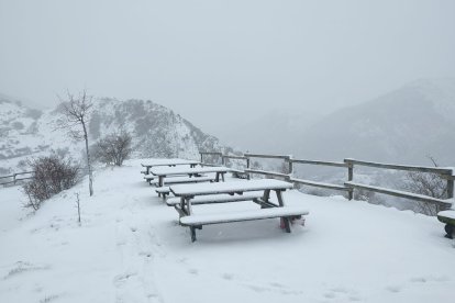 León, cubierto por la nieve. DL