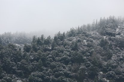 Nieve en Ponferrada. CÉSAR SÁNCHEZ / ICAL