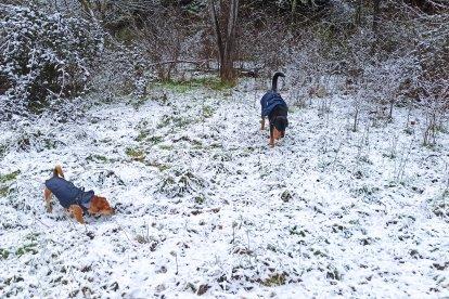 Nieve en Ponferrada. CÉSAR SÁNCHEZ / ICAL