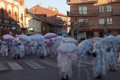 Las medusas del río Cea, en Sahagún | Acacio