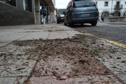 Restos de la granizada en la calle. RAMIRO
