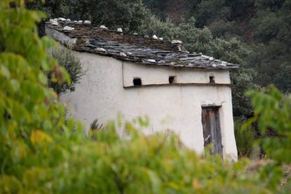 Palomar en Cabrera. ASOCIACIÓN DE AMIGOS DE LOS PALOMARES