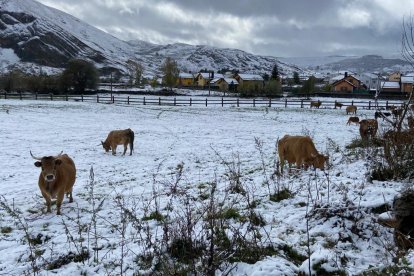 La nevada en Piedrafita de Babia. RAMIRO.