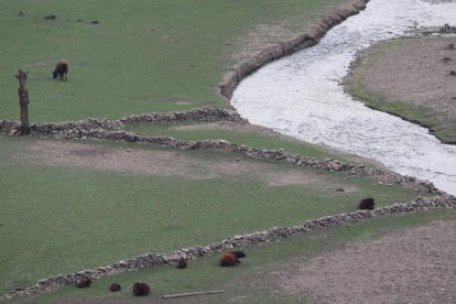 Santa Eulalia estaba en la margen derecha del río Luna. NORBERTO