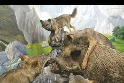 En las distintas escenas que se representan se trata de mostrar las constumbres de los animales en libertad, como es la supervivencia.