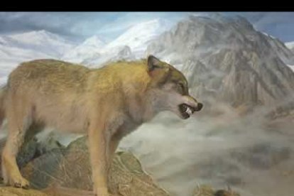 Escena de un lobo acechando a su presa.
