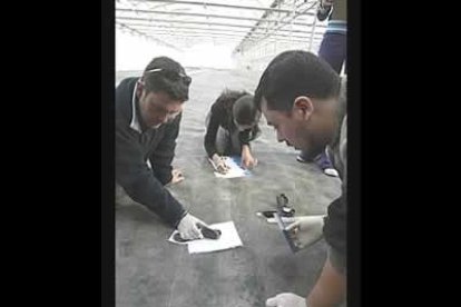 Si se confirmara la autenticidad de esta piedra, ésta se convertiría en la primera que se identifica como tal desde 1947.