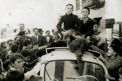 Oso cazado en la zona, 1958. Foto: Teo Á. / Heraclio.