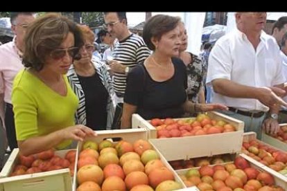 Mansilla presume de tener un tomate de muy alta calidad que actualmente lucha por obtener la denominación de origen. Cada año se celebra una feria en su honor.