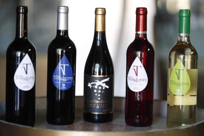Bodega Cooperativa Vegas del Cea. RAMIRO / MEDINA