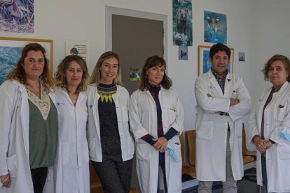 Imagen de los profesionales que forman el equipo de la Unidad de Salud Mental infanto juvenil del Centro de Salud de La Palomera. MIGUEL F. B