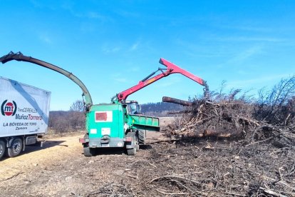 La madera con destino a la planta de Forestalia se astilla antes de su traslado a Cubillos. DL