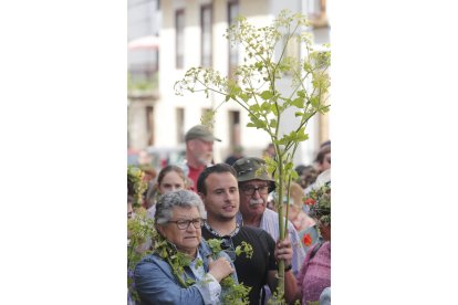 Festa dos Maios en Villafranca del Bierzo. L. DE LA MATA