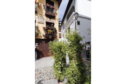 Festa dos Maios en Villafranca del Bierzo. L. DE LA MATA