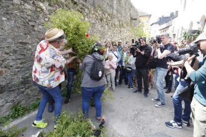 Festa dos Maios en Villafranca del Bierzo. L. DE LA MATA