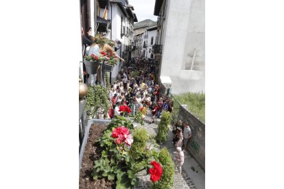 Festa dos Maios en Villafranca del Bierzo. L. DE LA MATA