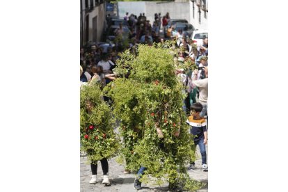 Festa dos Maios en Villafranca del Bierzo. L. DE LA MATA