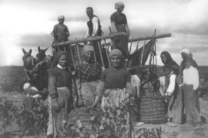 Vendimiadoras de La Mancha en los años 30 | Efe.