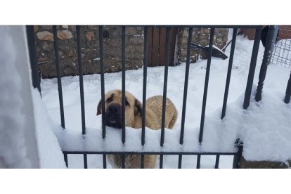 Huergas de Babia, este miércoles. PEPE