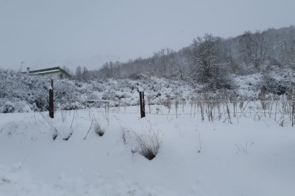 Santa Lucía de Gordón, nevado. DL