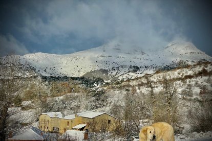 Robledo de la Guzpeña. DL