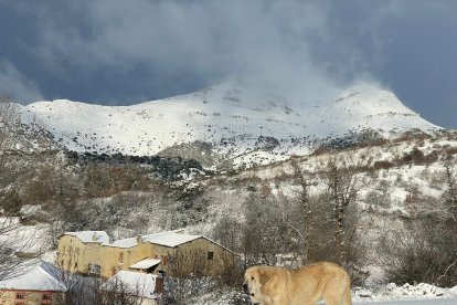 Robledo de la Guzpeña. DL