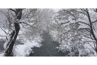 Huergas de Babia. DL