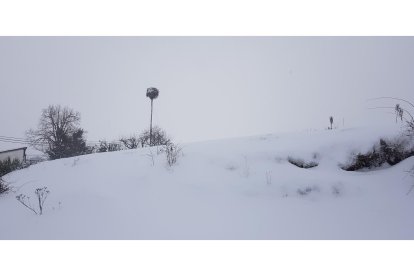 Huergas de Babia. DL