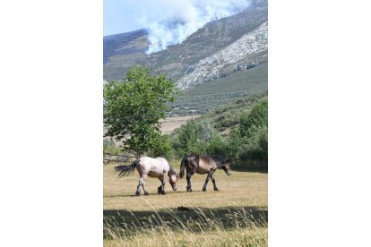 FOTO. J CASARES