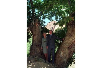 Don Juan Carlos y doña Sofía, junto a un castaño en La Médulas. Norberto