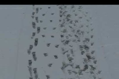 Huellas, sobre un paseo nevado