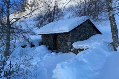 Cabaña que un vecino de Salentinos le ofreció en la que pasó más tiempo durante su estancia aquí. DL