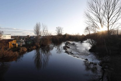 El río Órbigo a su paso por Carrizo de la Ribera. DL