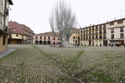 Vista de la Plaza del Grano.  DL