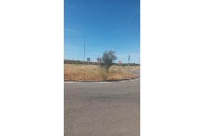 Rotonda de acceso a León desde Puente Castro, a la salida de la ronda. DL