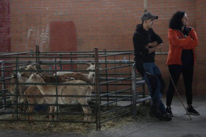 La Feriona de Villablino. FERNANDO OTERO