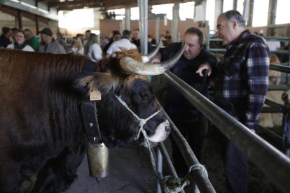 La Feriona de Villablino. FERNANDO OTERO