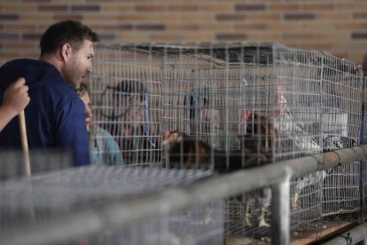 La Feriona de Villablino. FERNANDO OTERO