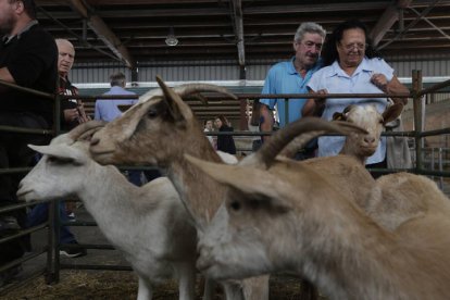 La Feriona de Villablino. FERNANDO OTERO