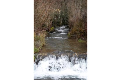 JESÚS F. SALVADORES