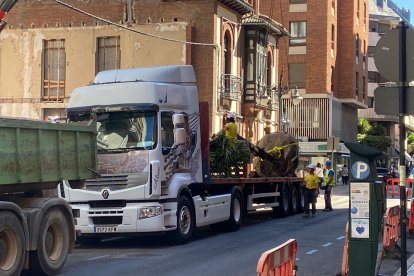 Momento de la retirada de las tres palmeras del edificio neomudéjar. RAMIRO