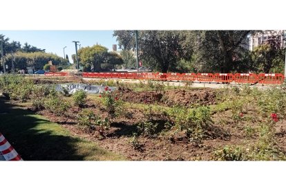 Los árboles han sido replantados en el paseo de la Condesa de Sagasta. J. NOTARIO
