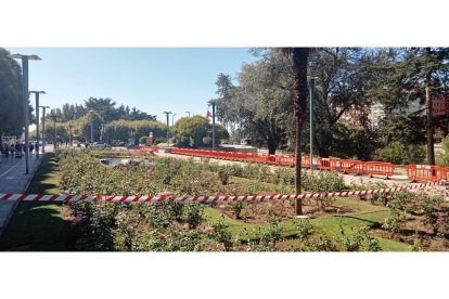Los árboles han sido replantados en el paseo de la Condesa de Sagasta. J. NOTARIO