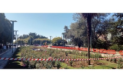Los árboles han sido replantados en el paseo de la Condesa de Sagasta. J. NOTARIO
