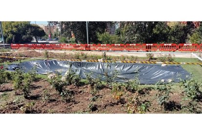 Los árboles han sido replantados en el paseo de la Condesa de Sagasta. J. NOTARIO