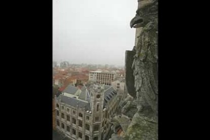 Musgo y líquenes cubren como un manto verdoso las gárgolas. De fondo, se divisa el antiguo edifico de correos