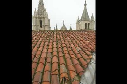 Parece el estado de una casa ruinosa, pero lo cierto es que se trata del tejado de la catedral leonesa, única en Europa